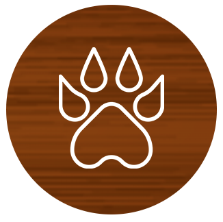 animaux