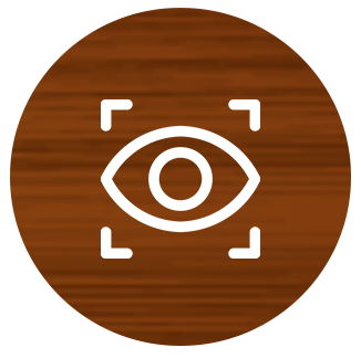 vision 2