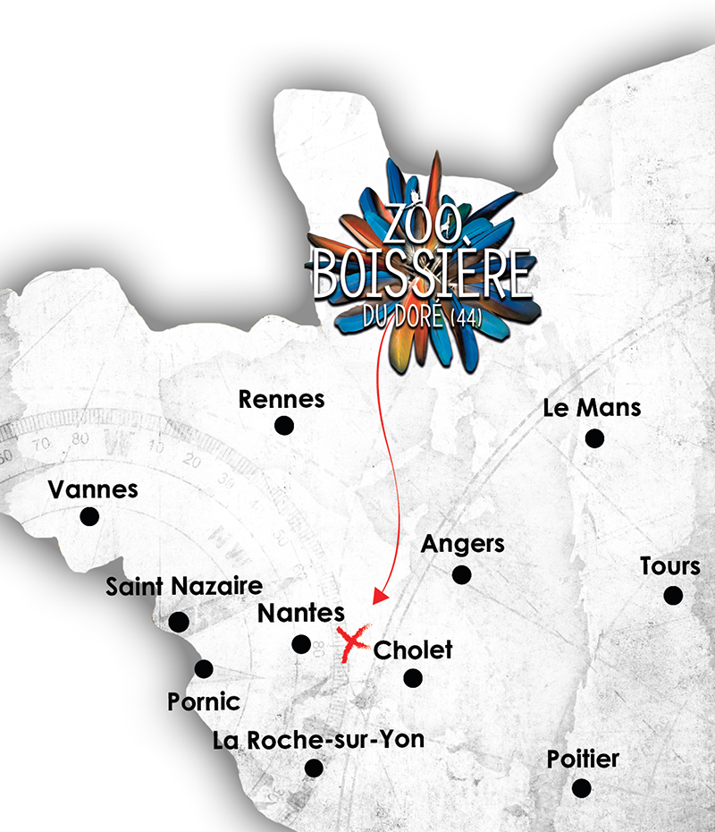 CARTE REGION FINAL