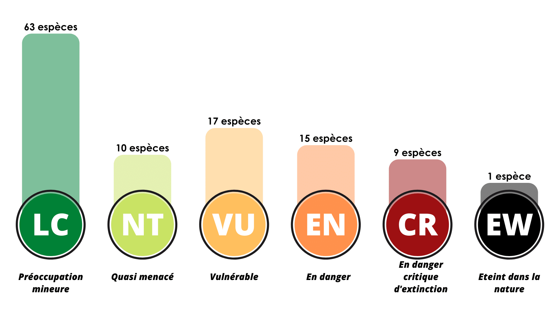 CR (1)