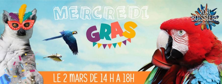 mercredi gras