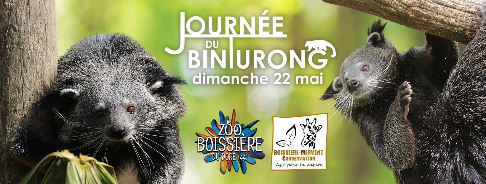 BANNIERE FB - journee binturong 2022 journée binturong