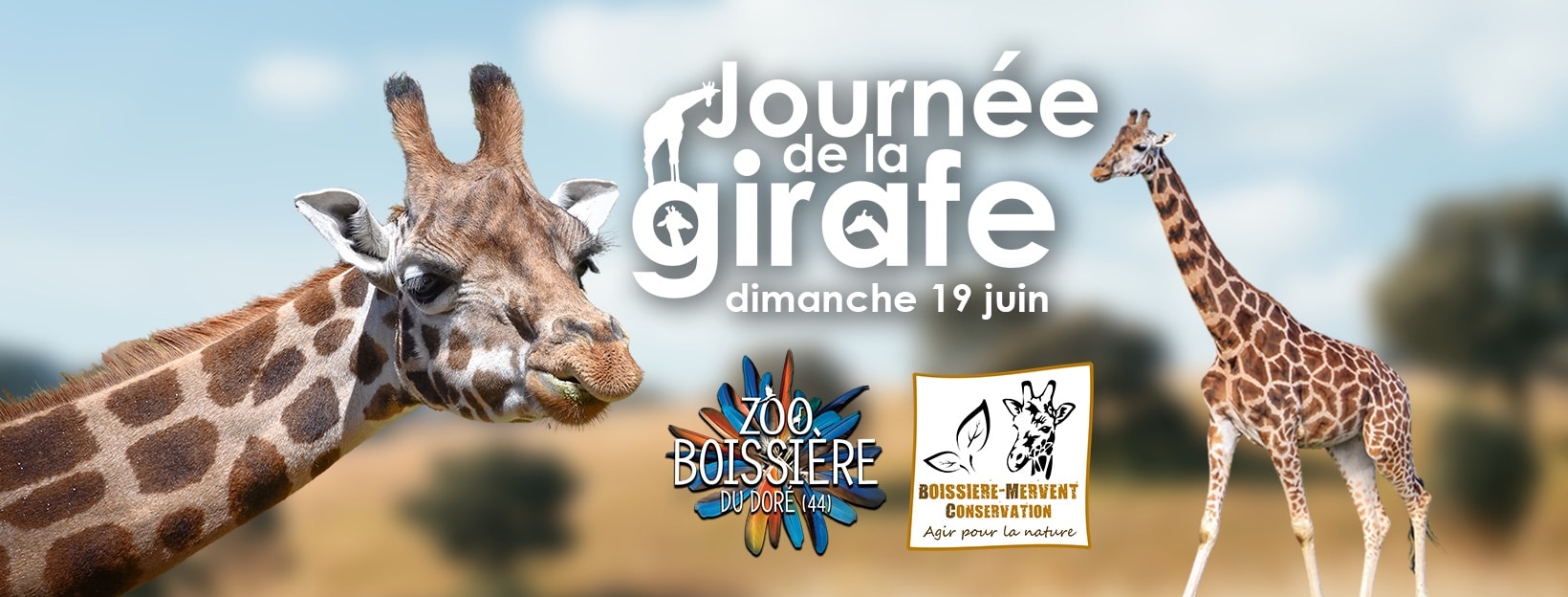 journée de la girafe