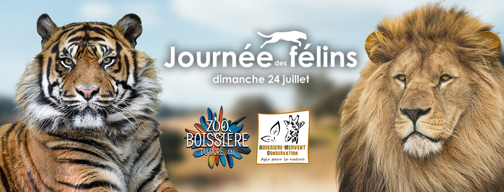 journée des félins