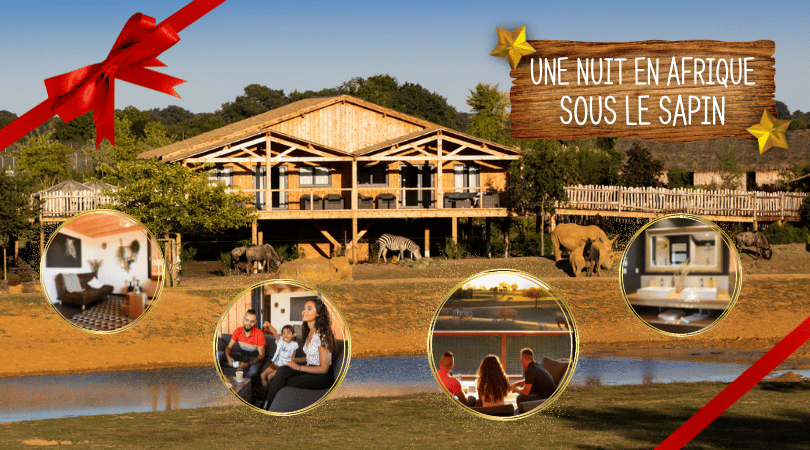 africa lodge