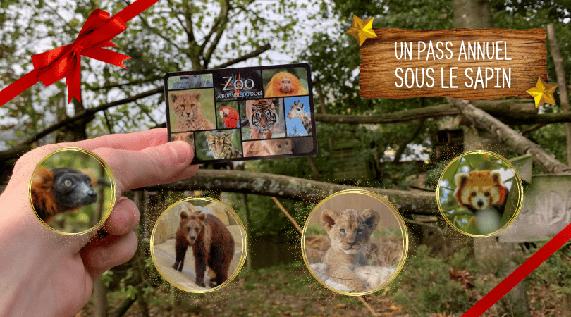 pass zoo