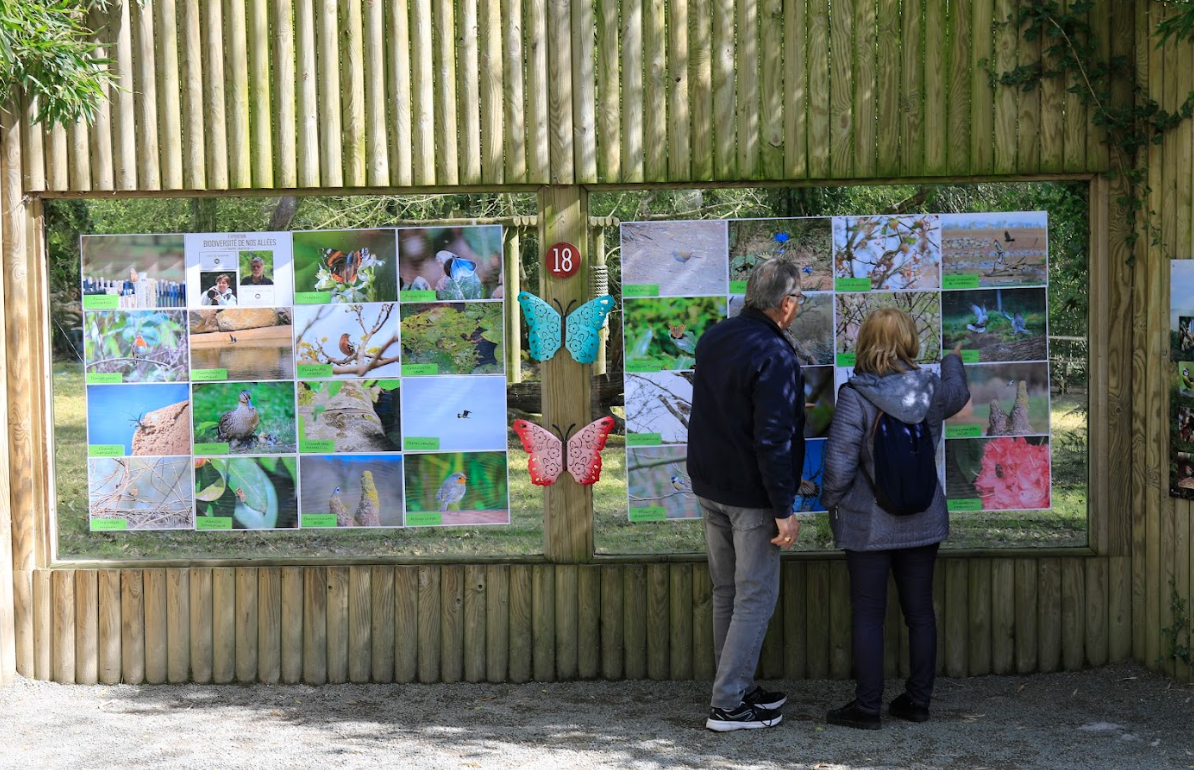 conservation 2