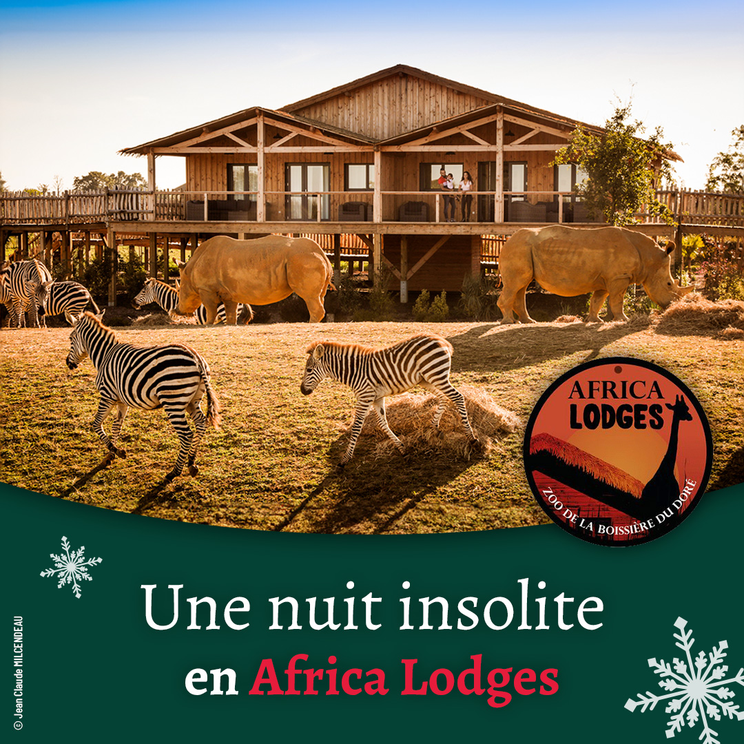 africa_lodge_cadeau_zoo