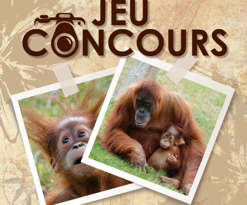 JEU CONCOURS 