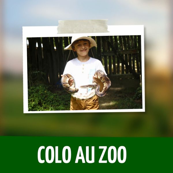 Activité Colo ZOO