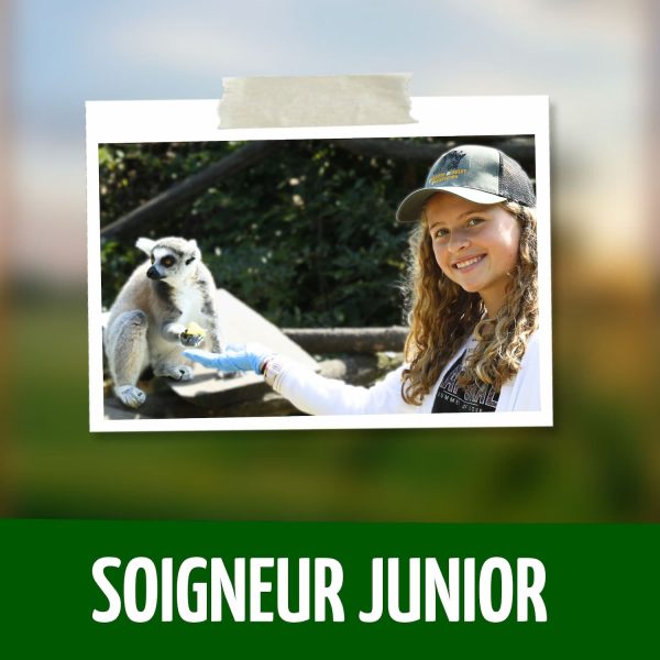 Activité Soigneur junior