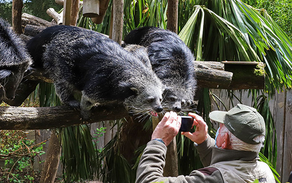 animation pédagogique zoo