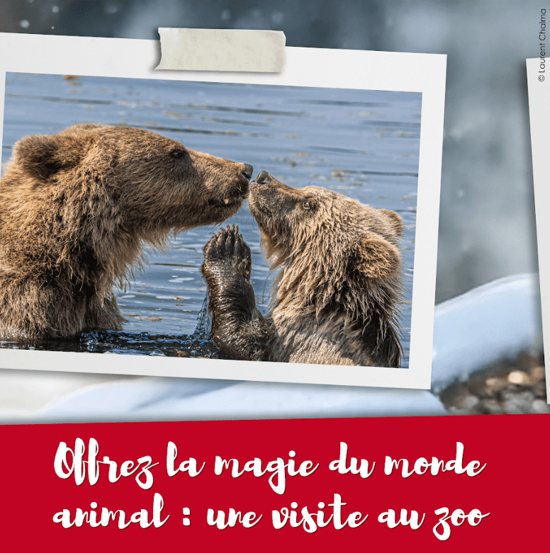 visite zoo-min pass_annuel_zoo
