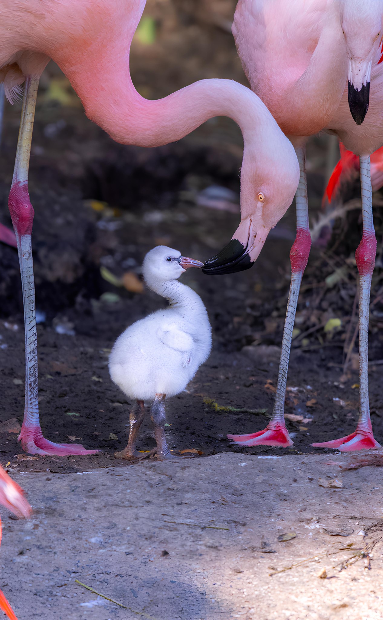 558399130_10235648184497654_5446747946011286368_n