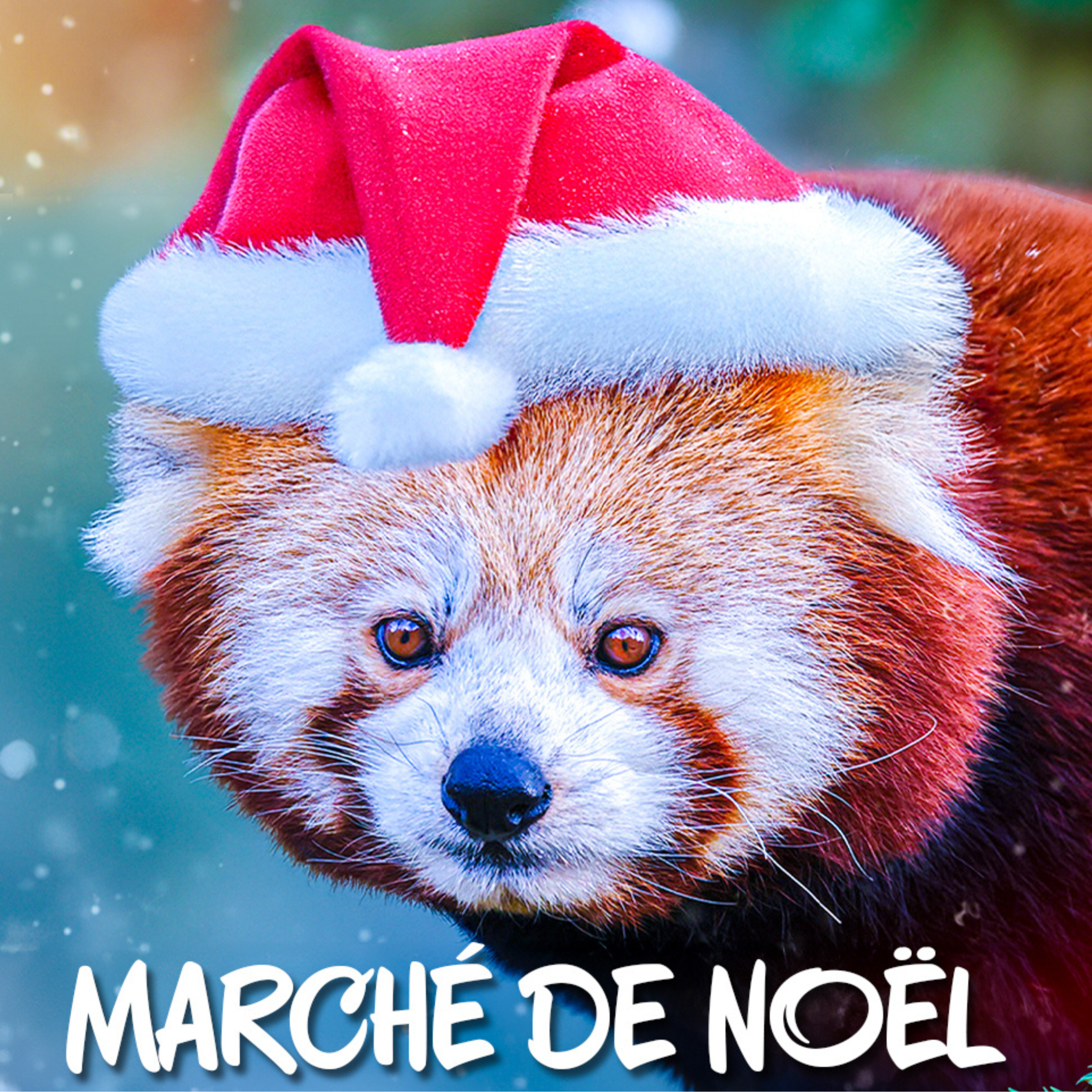 MARCHE DE NOEL AVEC TEXTE SPOT RS