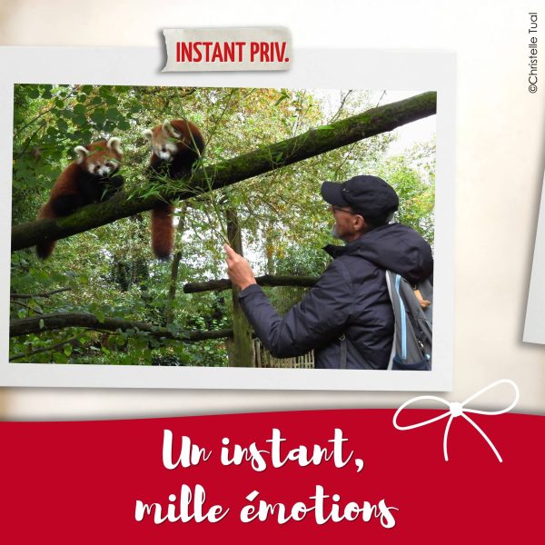 BON CADEAU - INSTANT PRIVILÉGIÉ - 2026 - non daté, en saison (de 1 à 6 pers)