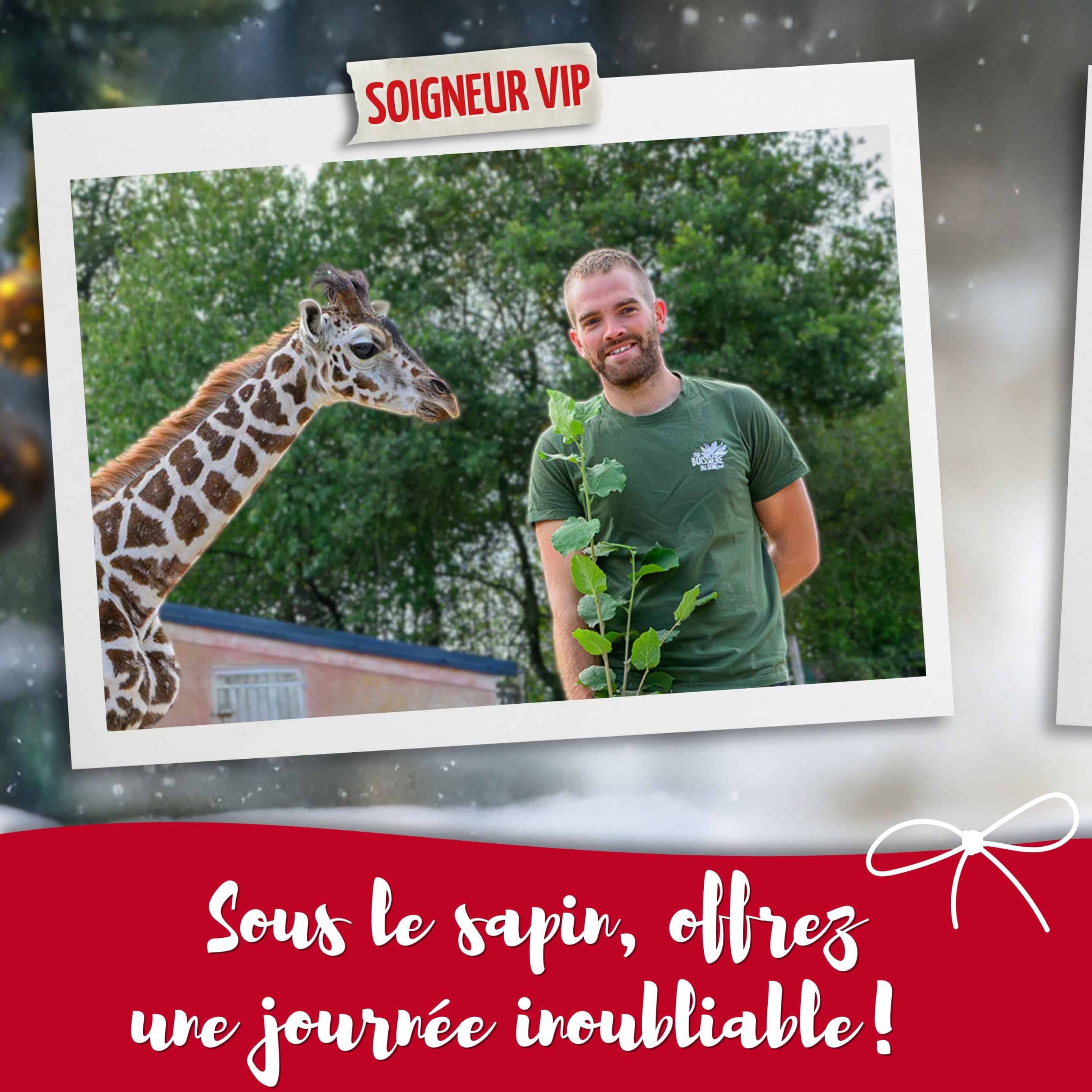 idée_cadeau_zoo