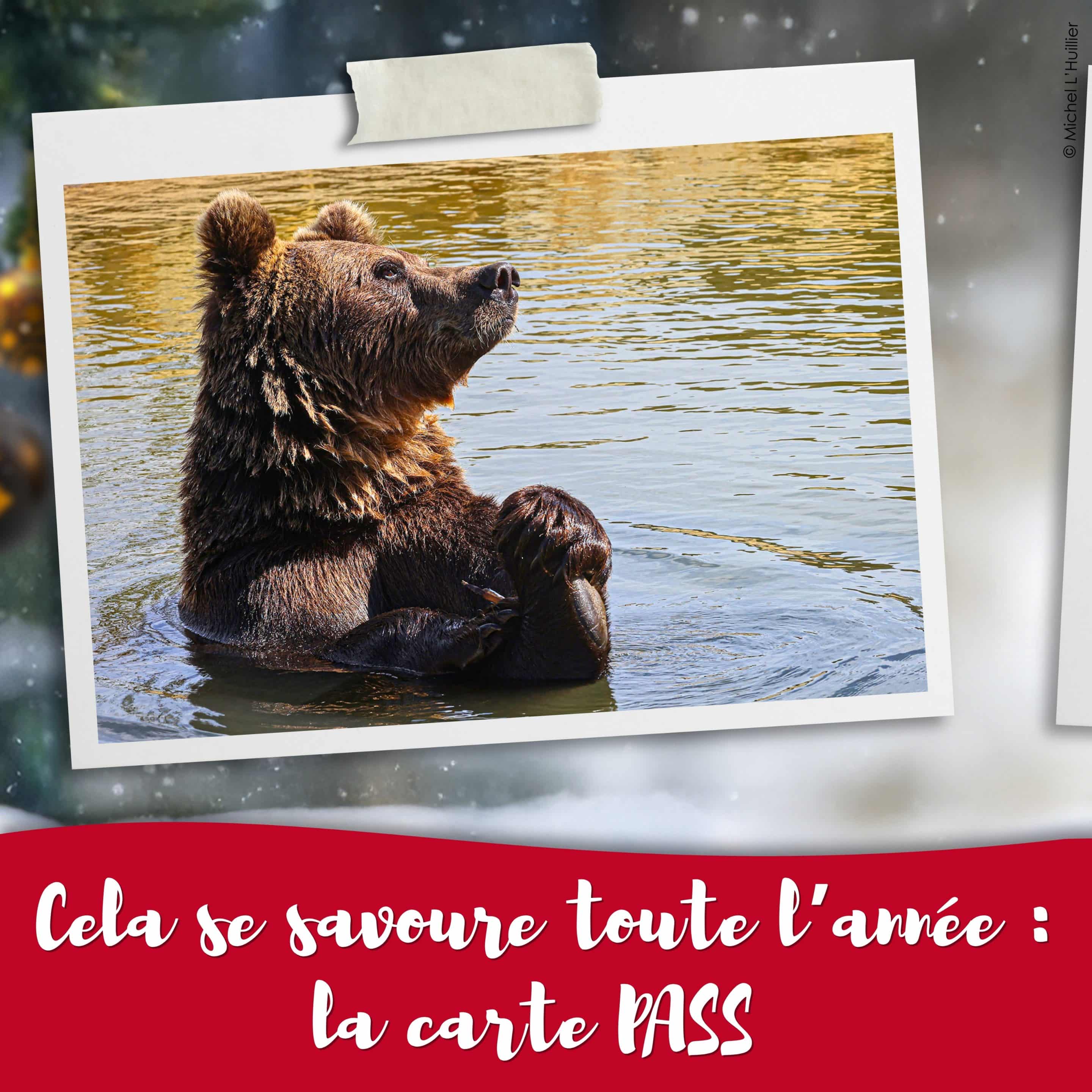 africa_lodge_cadeau_zoo