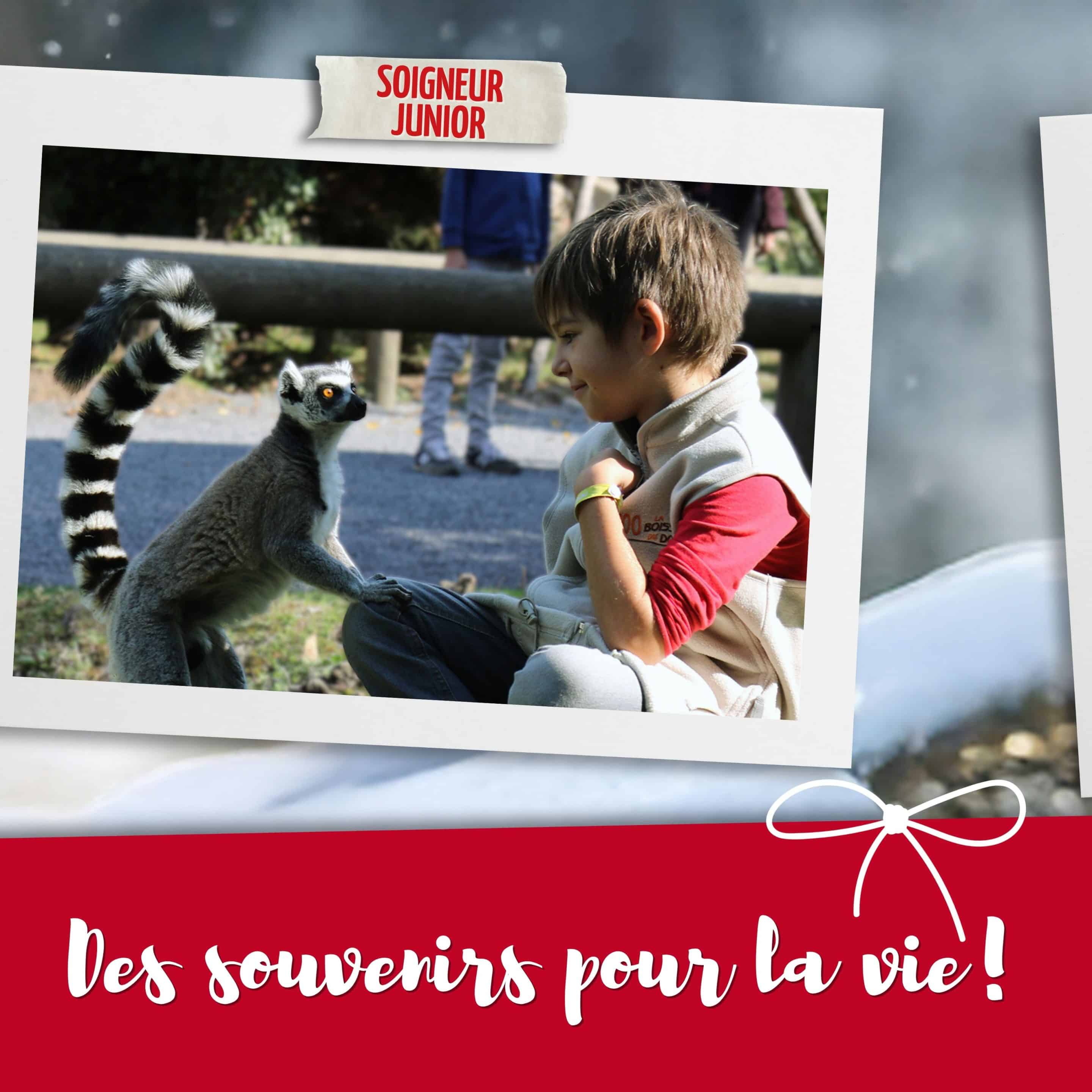 activité_soigneur_zoo