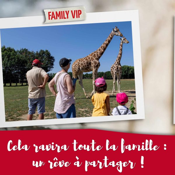 BON CADEAU - FAMILY VIP - 2026 - non daté - PACK 4PERS