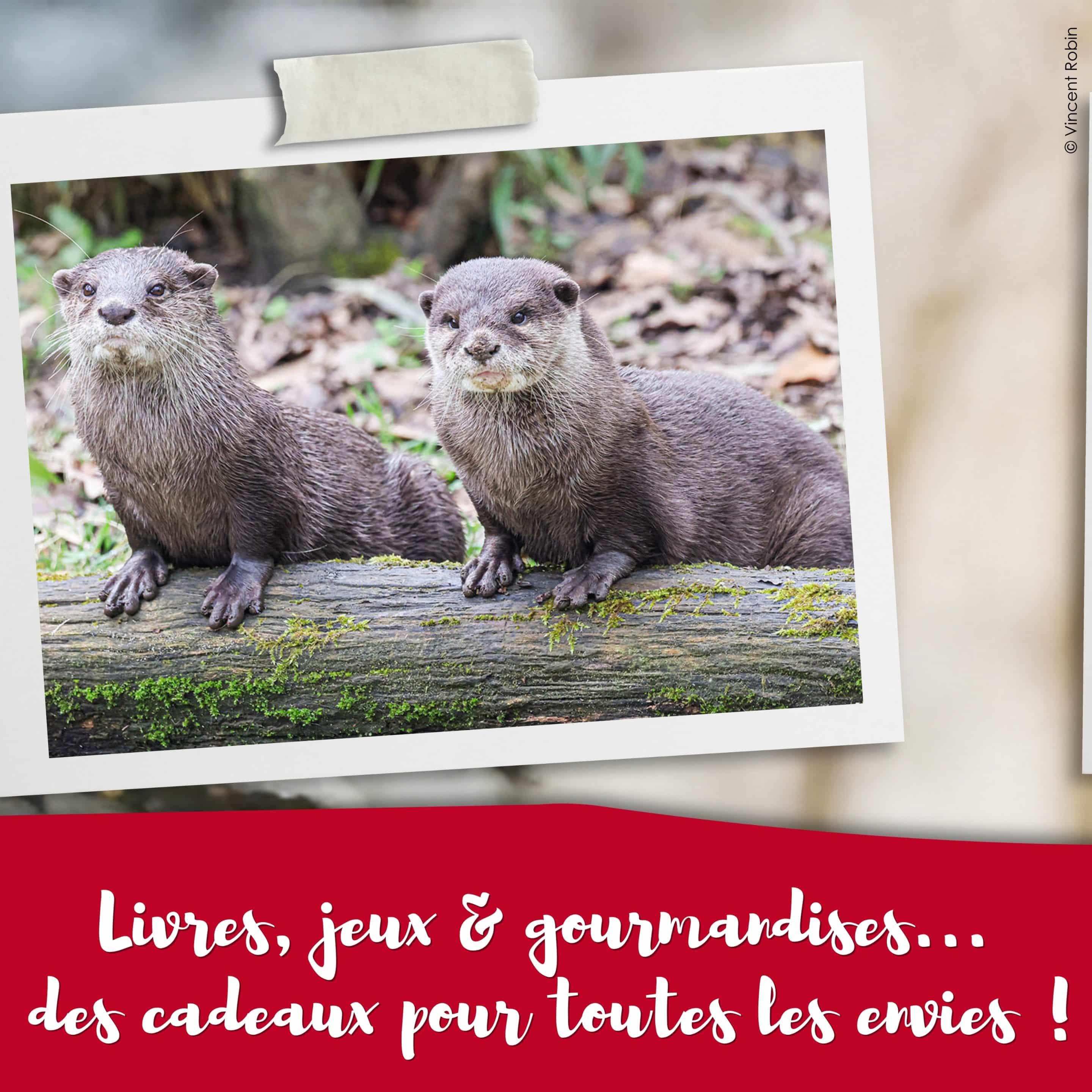 africa_lodge_cadeau_zoo