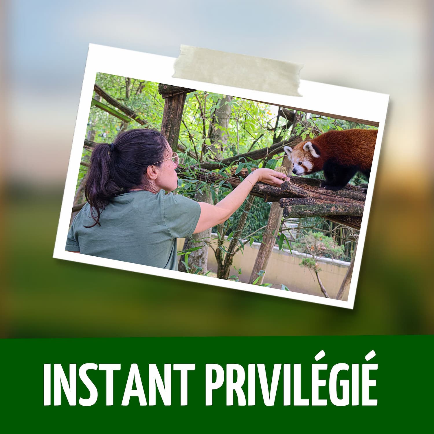 Instants privilèges - Visite à la journée