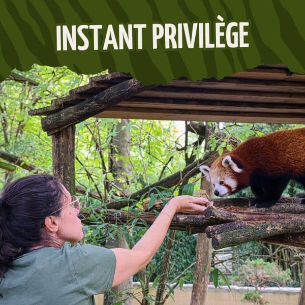 Instants privilèges - Visite à la journée